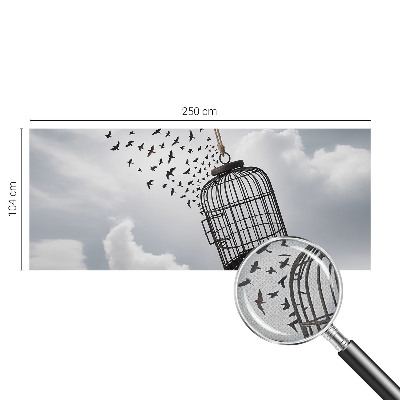 Fototapeta pre dievča Lietajúce vtáky