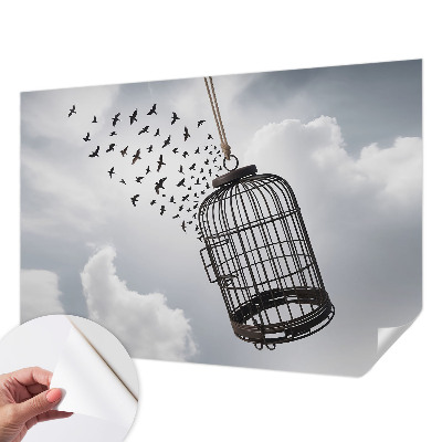 Fototapeta pre dievča Lietajúce vtáky