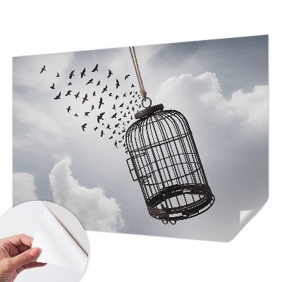 Fototapeta pre dievča Lietajúce vtáky