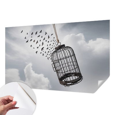 Fototapeta pre dievča Lietajúce vtáky