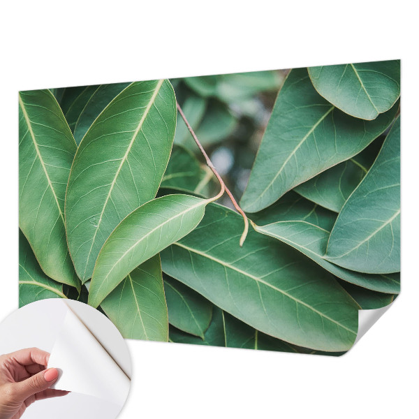 Samolepiaca fototapeta do obývačky Zelené listy