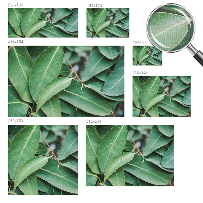 Samolepiaca fototapeta do obývačky Zelené listy