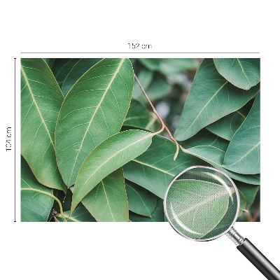 Samolepiaca fototapeta do obývačky Zelené listy