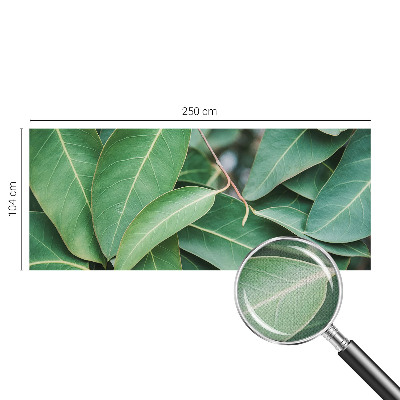 Samolepiaca fototapeta do obývačky Zelené listy