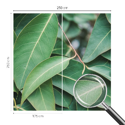 Samolepiaca fototapeta do obývačky Zelené listy