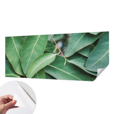 Samolepiaca fototapeta do obývačky Zelené listy