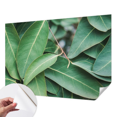 Samolepiaca fototapeta do obývačky Zelené listy