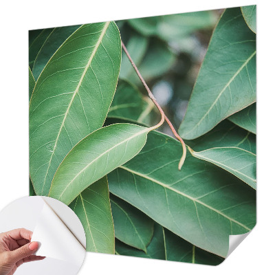 Samolepiaca fototapeta do obývačky Zelené listy