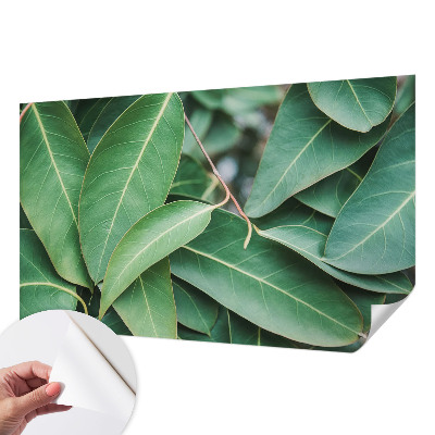 Samolepiaca fototapeta do obývačky Zelené listy