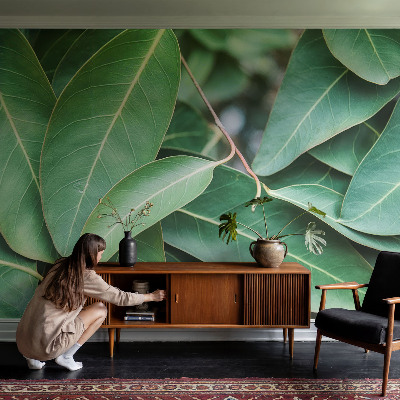 Samolepiaca fototapeta do obývačky Zelené listy