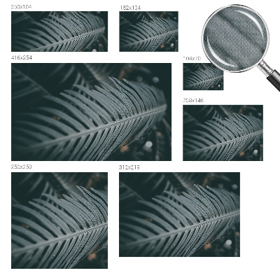 3D tapeta Zelený list