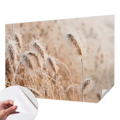 Detská fototapeta Zimná krajina