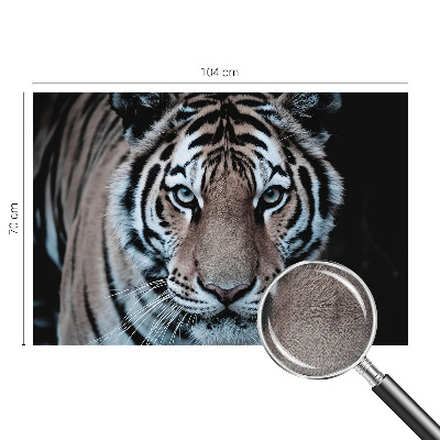 Fototapeta do detskej izby Portrét tigra