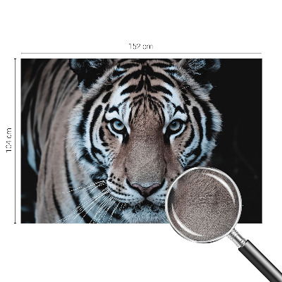 Fototapeta do detskej izby Portrét tigra