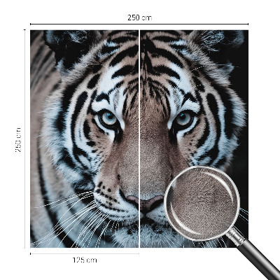 Fototapeta do detskej izby Portrét tigra