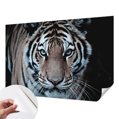 Fototapeta do detskej izby Portrét tigra