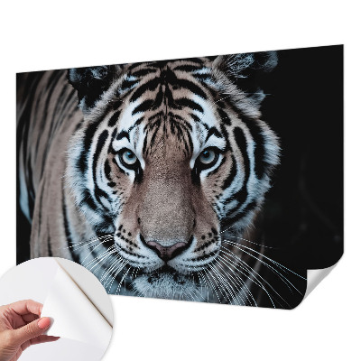 Fototapeta do detskej izby Portrét tigra