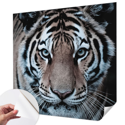 Fototapeta do detskej izby Portrét tigra