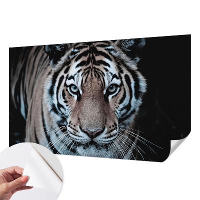 Fototapeta do detskej izby Portrét tigra