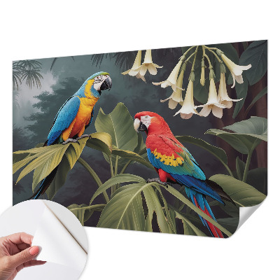 3D tapeta Farebné papagáje