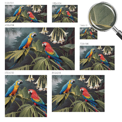 3D tapeta Farebné papagáje