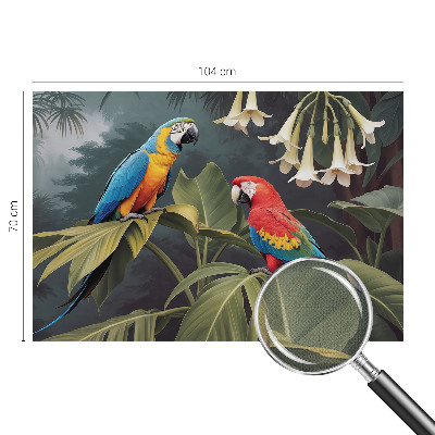3D tapeta Farebné papagáje