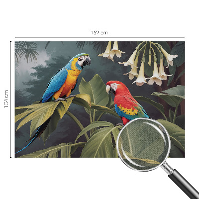 3D tapeta Farebné papagáje
