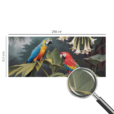 3D tapeta Farebné papagáje