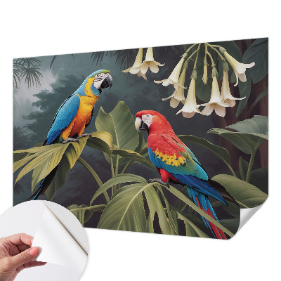 3D tapeta Farebné papagáje