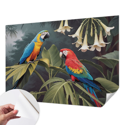 3D tapeta Farebné papagáje