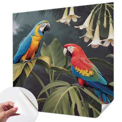 3D tapeta Farebné papagáje