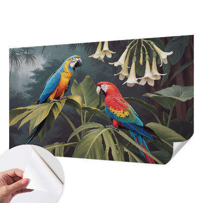 3D tapeta Farebné papagáje