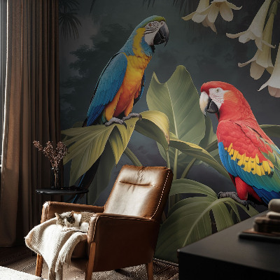 3D tapeta Farebné papagáje