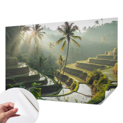 Fototapeta pre chlapca Rajské terasy