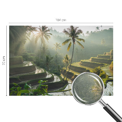 Fototapeta pre chlapca Rajské terasy