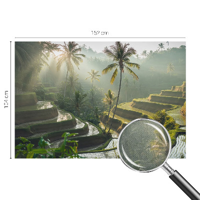 Fototapeta pre chlapca Rajské terasy