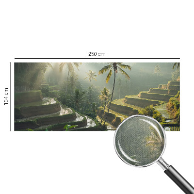 Fototapeta pre chlapca Rajské terasy