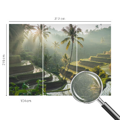 Fototapeta pre chlapca Rajské terasy