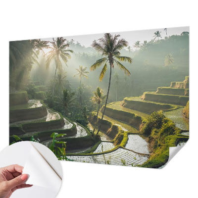 Fototapeta pre chlapca Rajské terasy