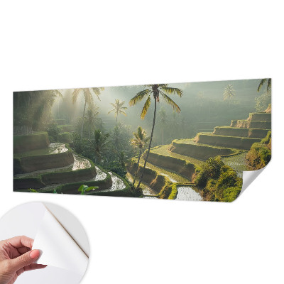 Fototapeta pre chlapca Rajské terasy