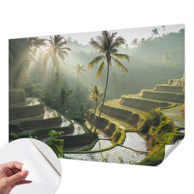 Fototapeta pre chlapca Rajské terasy