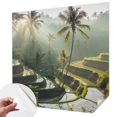 Fototapeta pre chlapca Rajské terasy