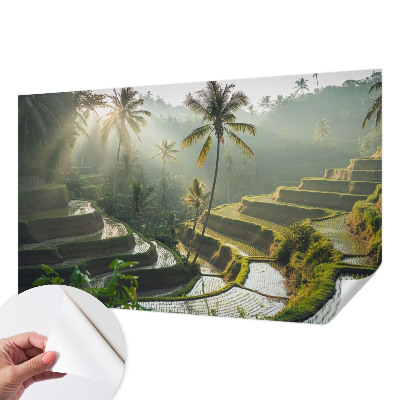 Fototapeta pre chlapca Rajské terasy