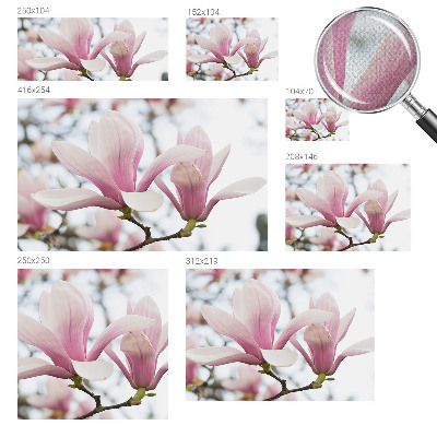 Samolepiaca fototapeta do detskej izby Kvety magnólie