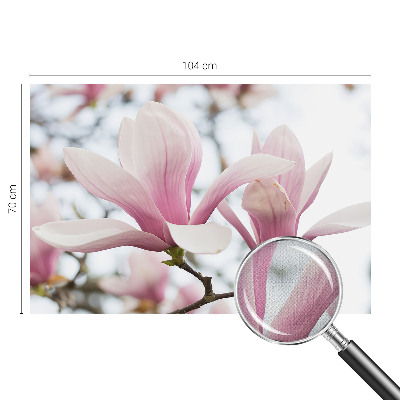 Samolepiaca fototapeta do detskej izby Kvety magnólie