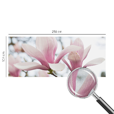 Samolepiaca fototapeta do detskej izby Kvety magnólie