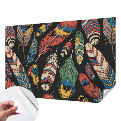 Tapeta do obývačky Farebné perie