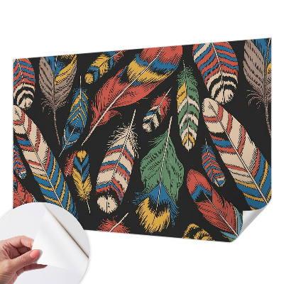 Tapeta do obývačky Farebné perie