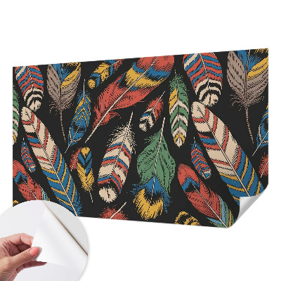 Tapeta do obývačky Farebné perie