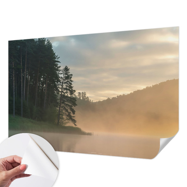 Samolepiaca fototapeta Hmlisté ráno